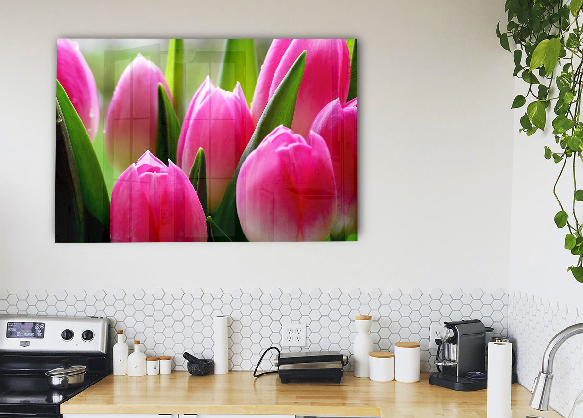 Pink Tulip Garden