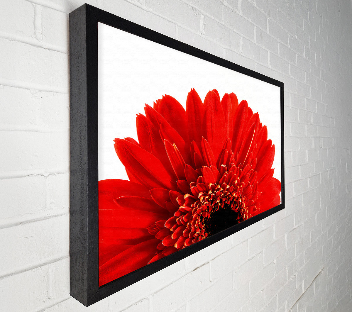 Red Gerbera Head Canvas Wall Art