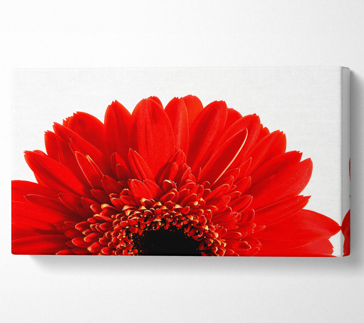 Red Gerbera Head Canvas Wall Art