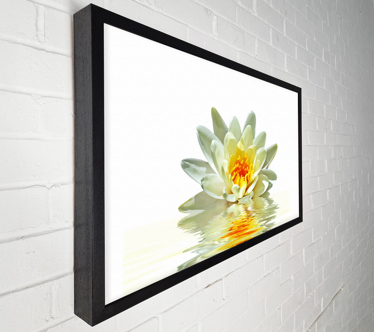 White Water Lily Reflection Petals Canvas Wall Art