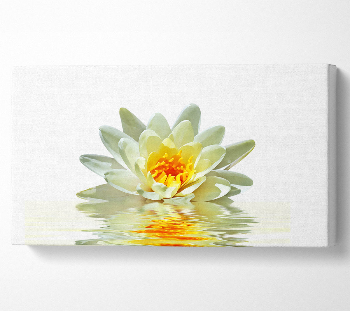 White Water Lily Reflection Petals Canvas Wall Art