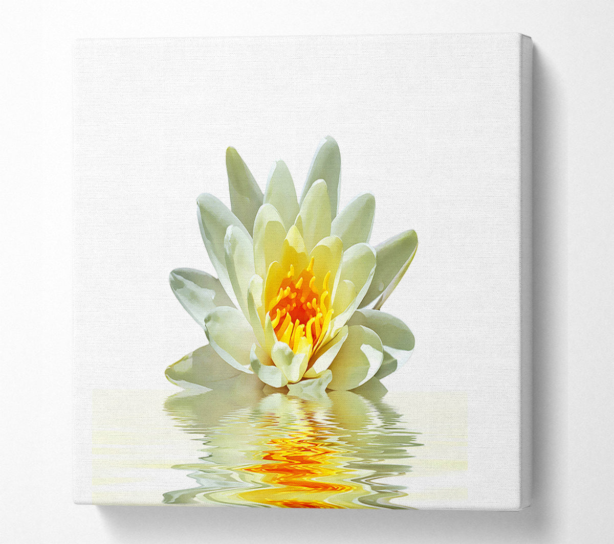 White Water Lily Reflection Petals Canvas Wall Art