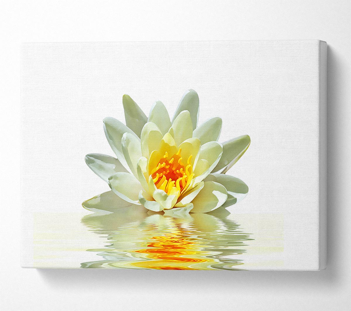 White Water Lily Reflection Petals Canvas Wall Art