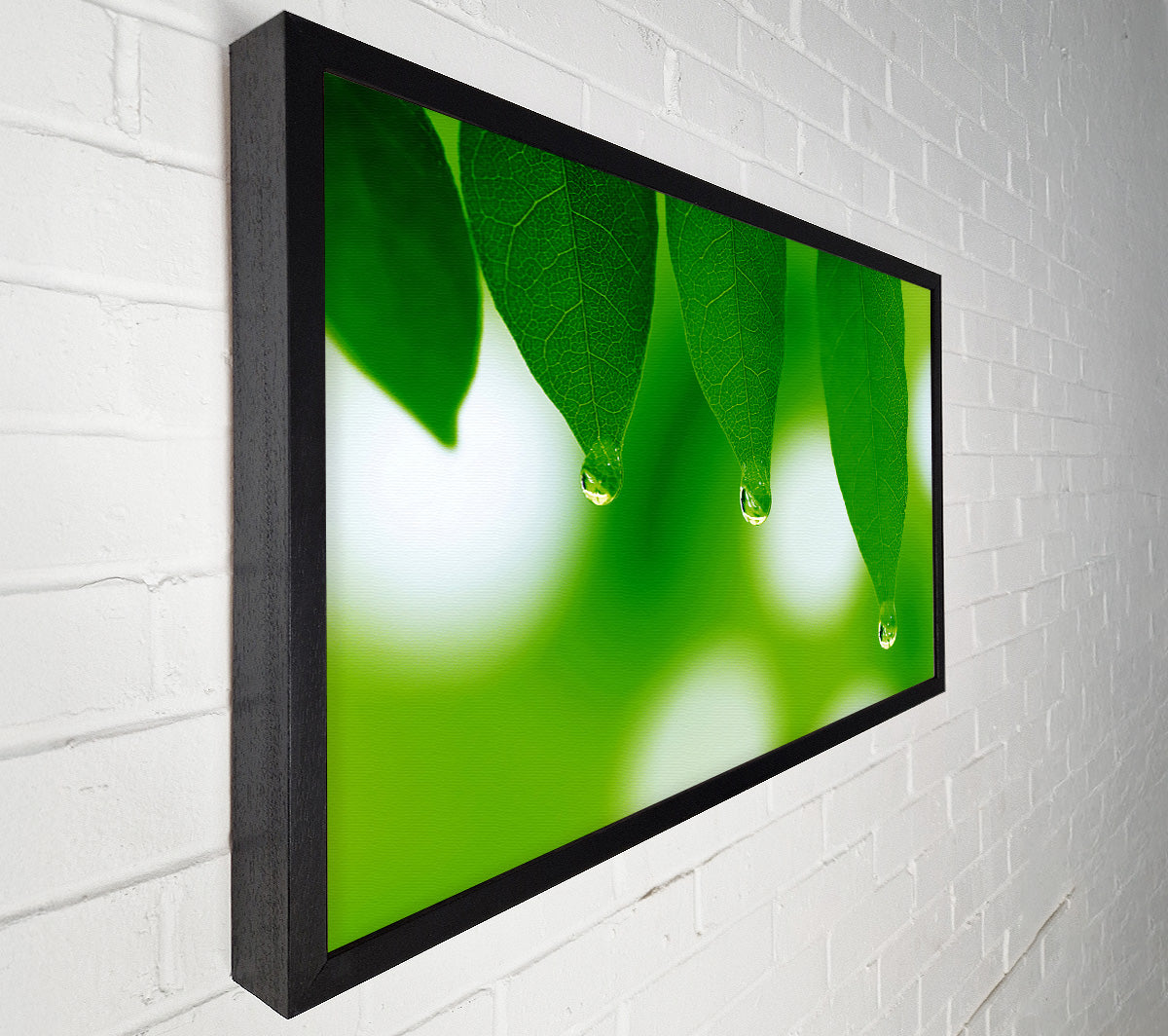 Trio Dewdrop Leaf Canvas Wall Art
