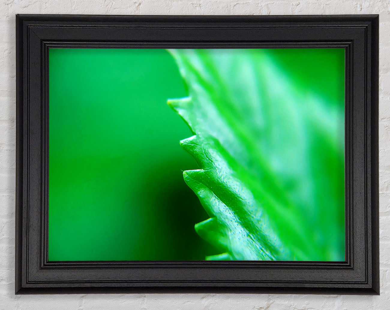 Jagged Green Leaves Framed Print