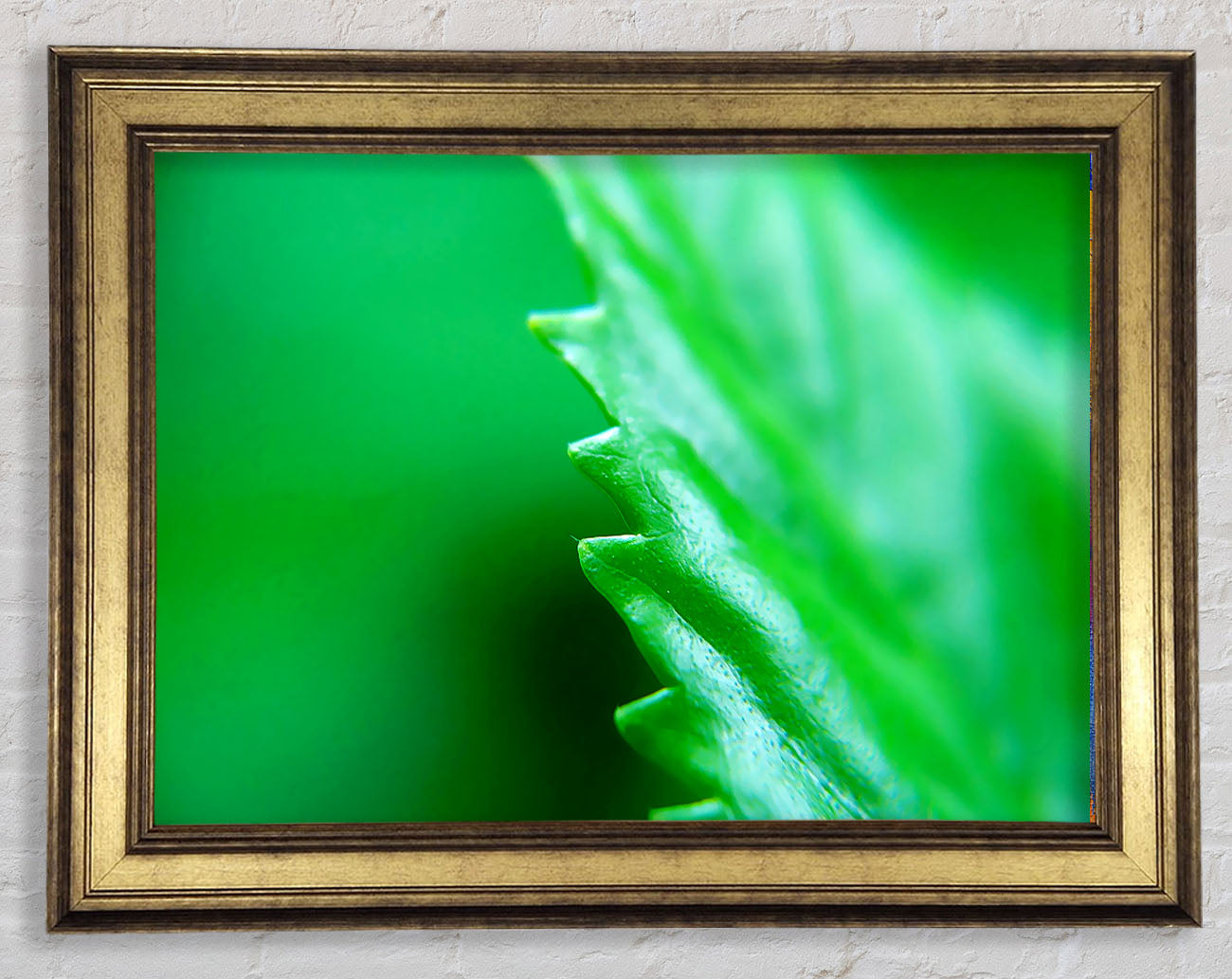 Jagged Green Leaves Framed Print