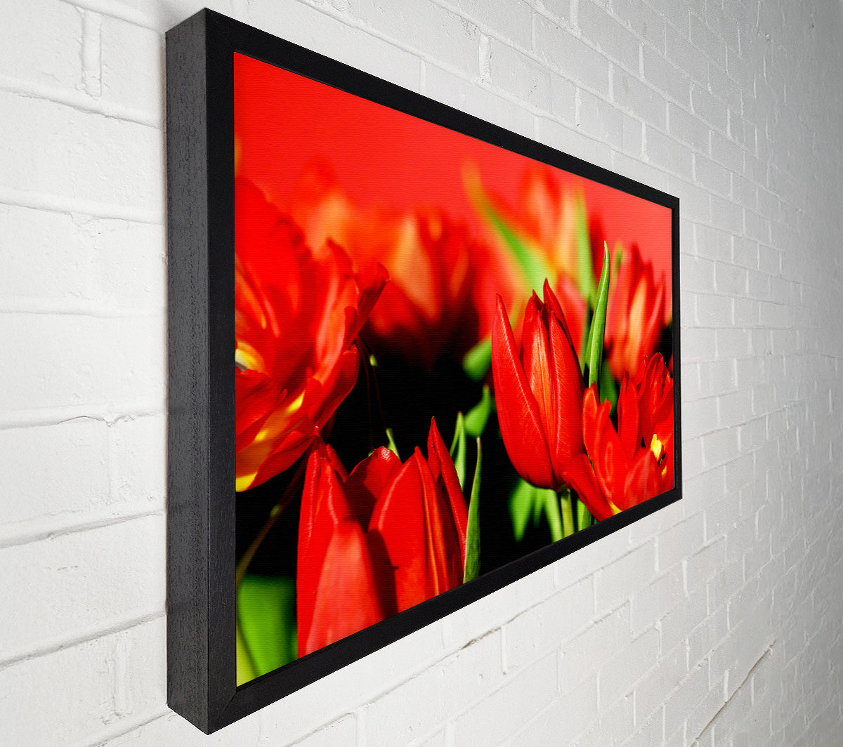 Tulips In Sunlight Canvas Wall Art
