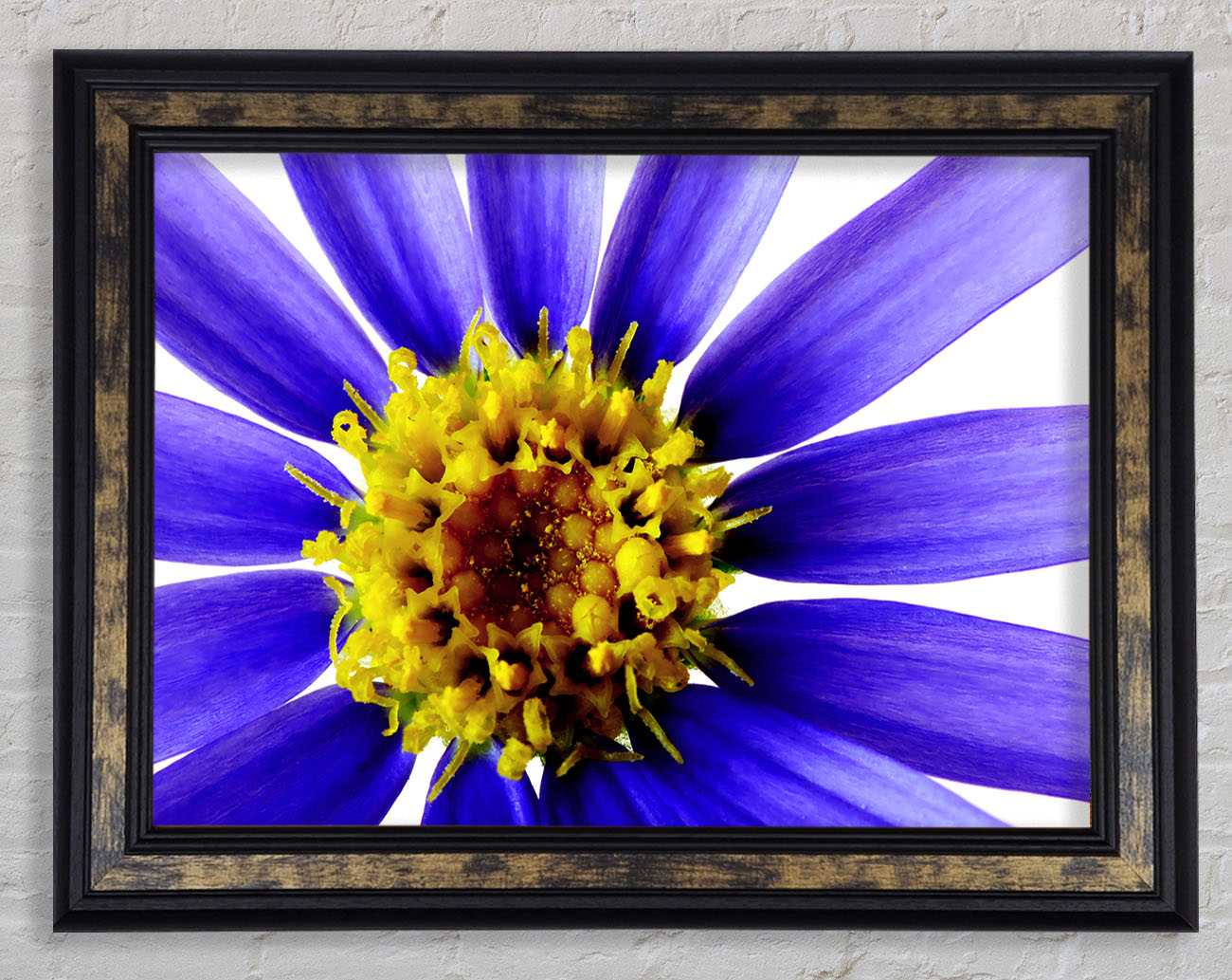Purple Petal Beauty Framed Print