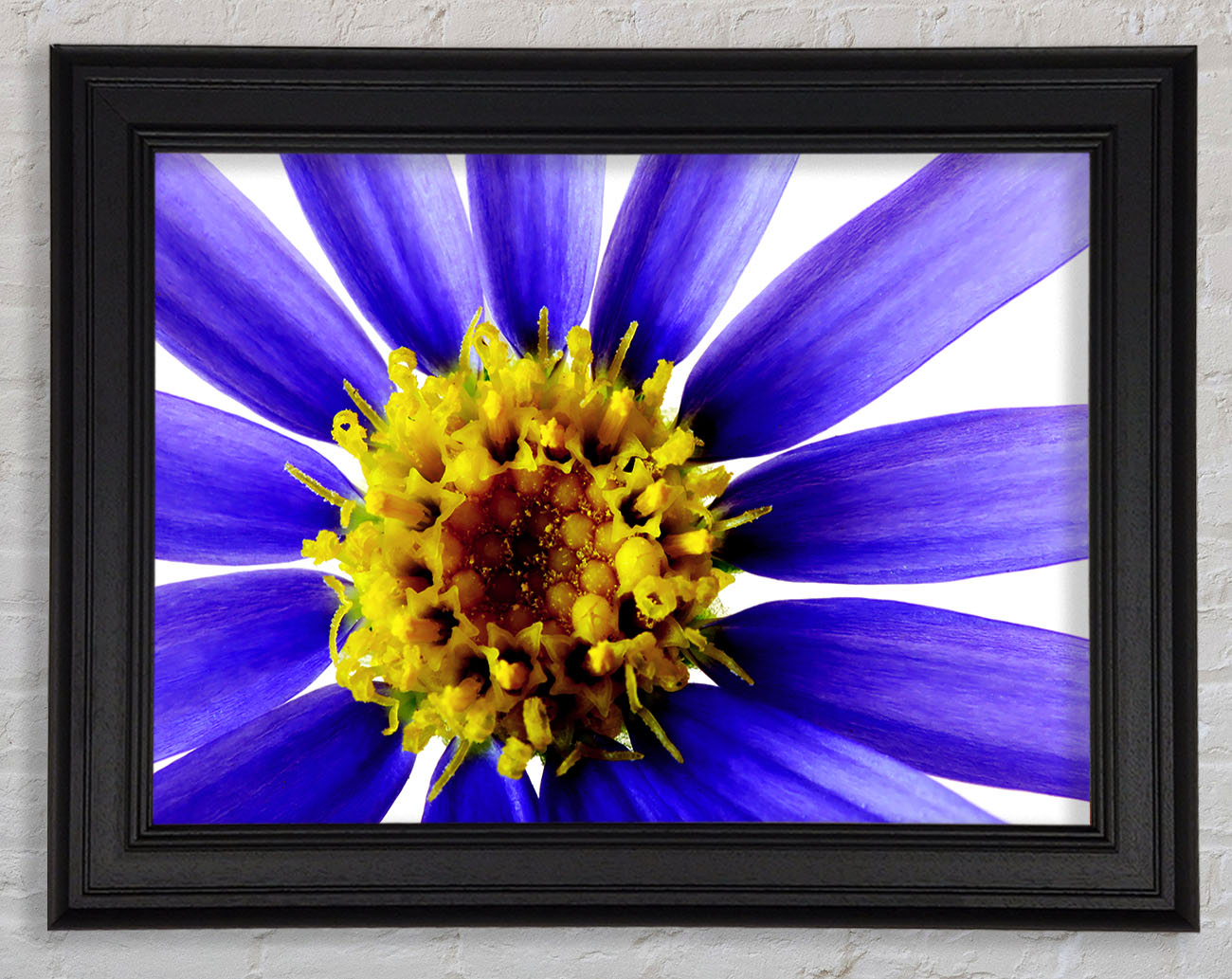 Purple Petal Beauty Framed Print