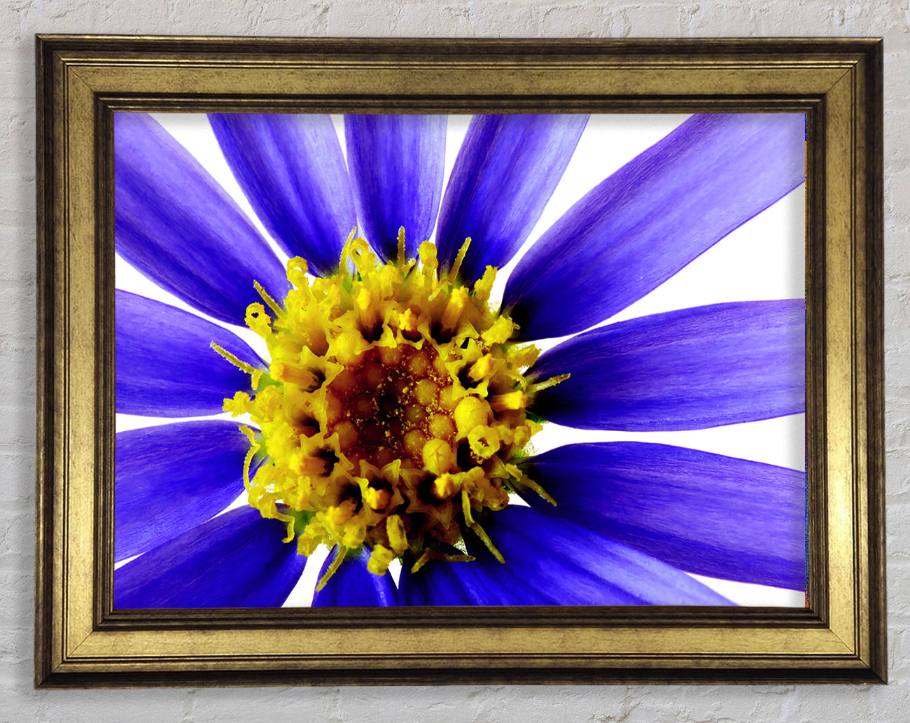 Purple Petal Beauty Framed Print