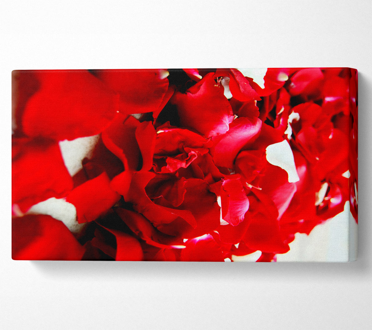 Red Galore Canvas Wall Art