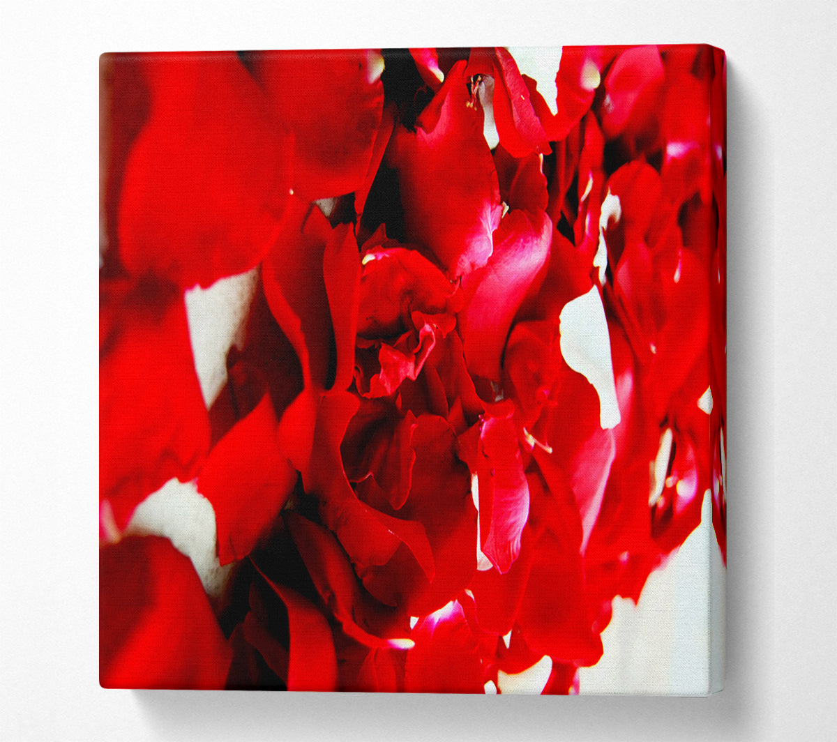 Red Galore Canvas Wall Art