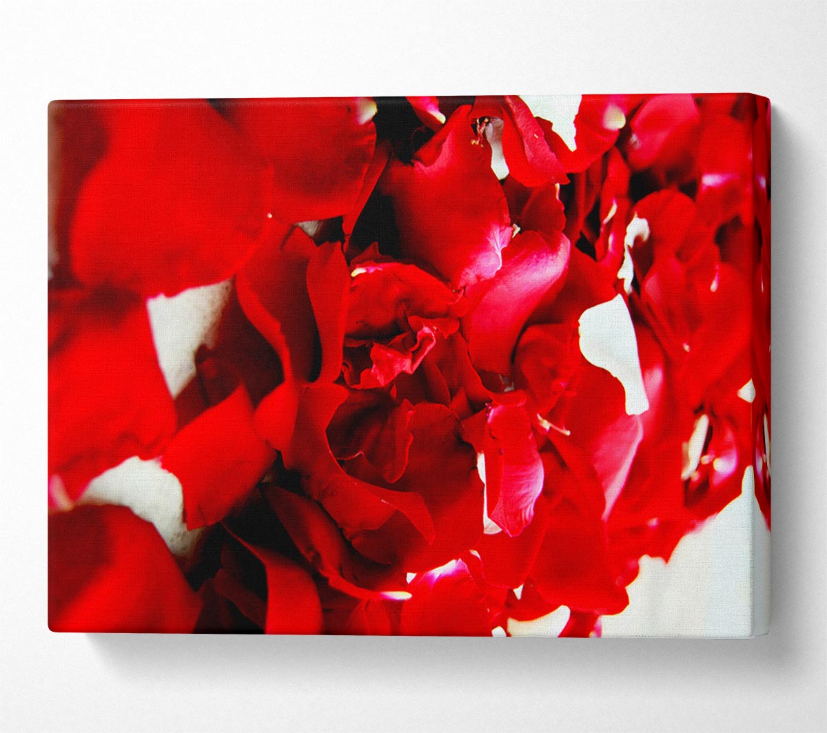 Red Galore Canvas Wall Art