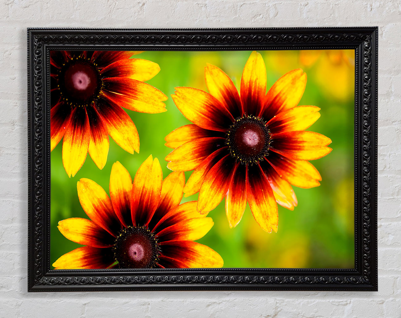 Sun Flower Garden Framed Print