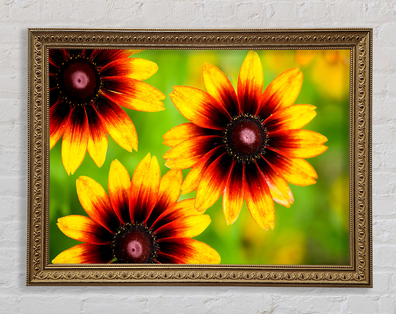 Sun Flower Garden Framed Print