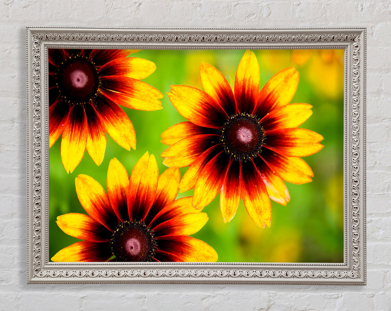 Sun Flower Garden Framed Print