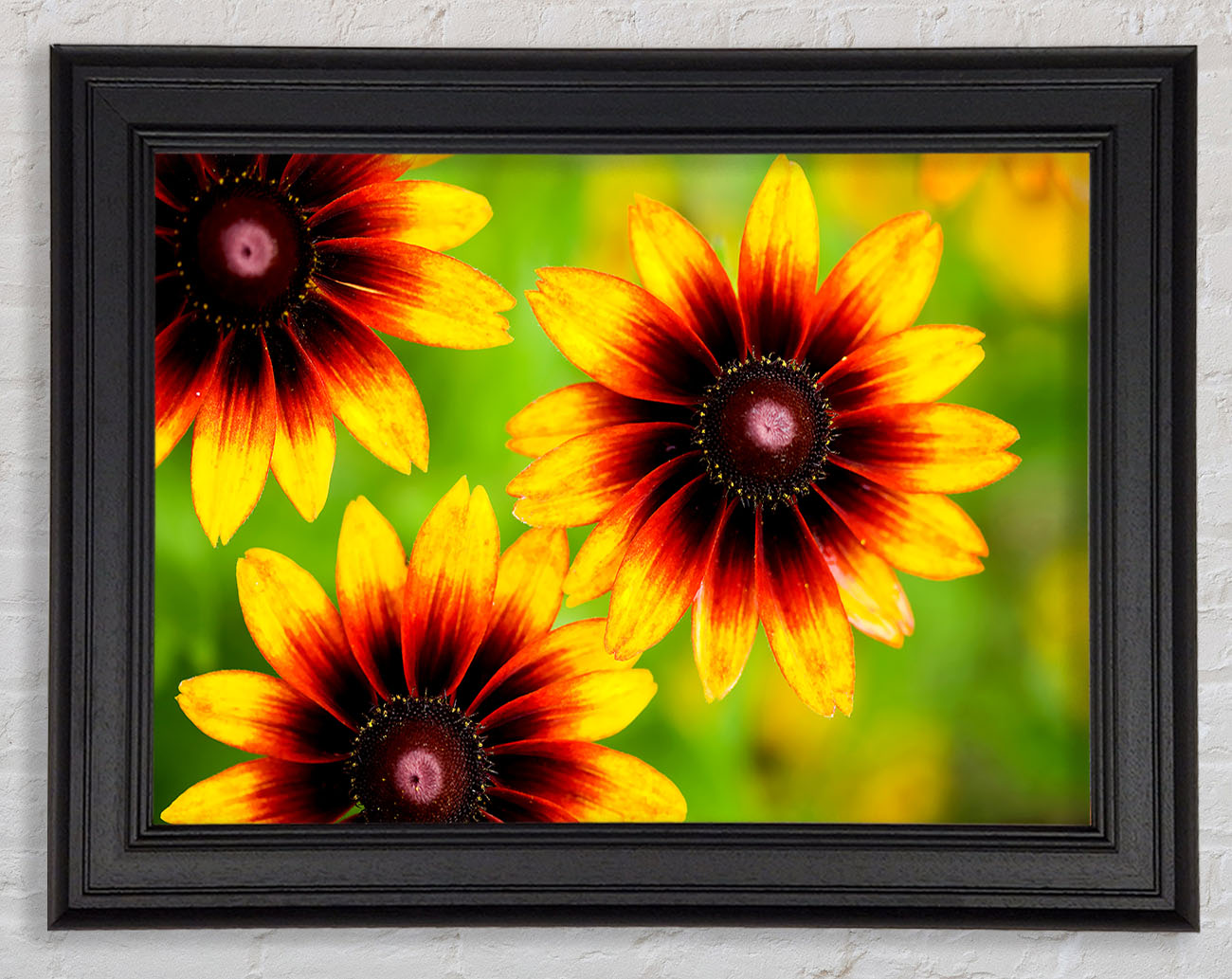 Sun Flower Garden Framed Print