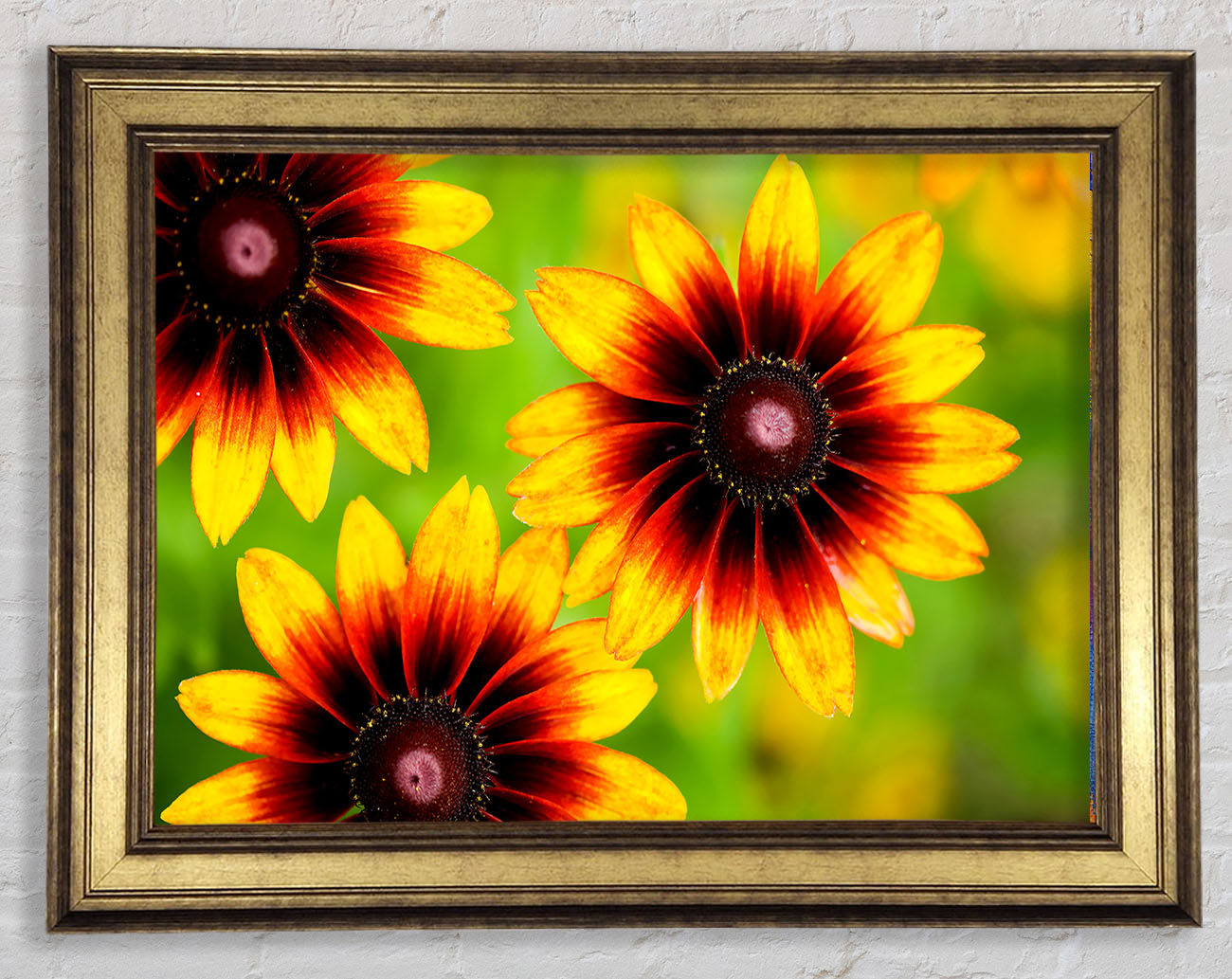 Sun Flower Garden Framed Print