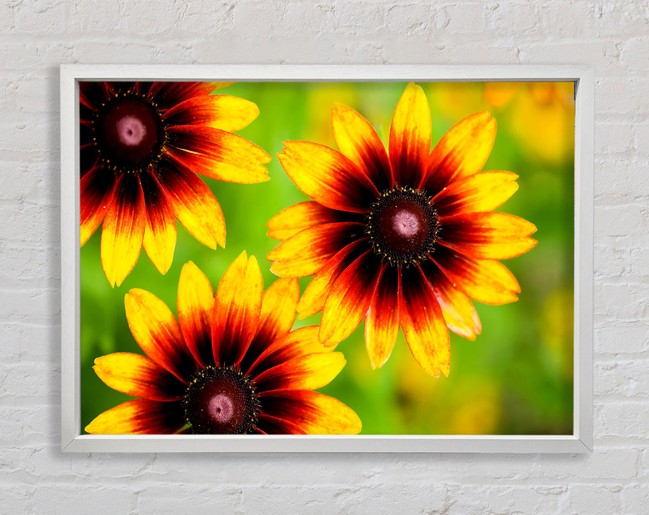 Sun Flower Garden Framed Print