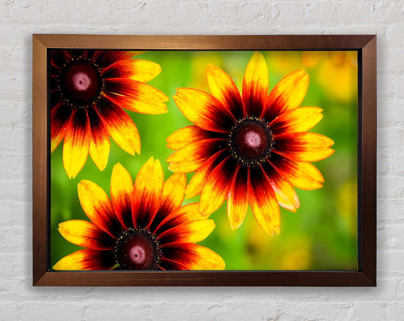 Sun Flower Garden Framed Print