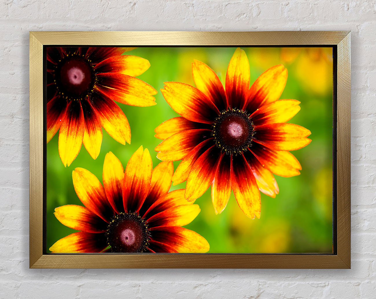 Sun Flower Garden Framed Print