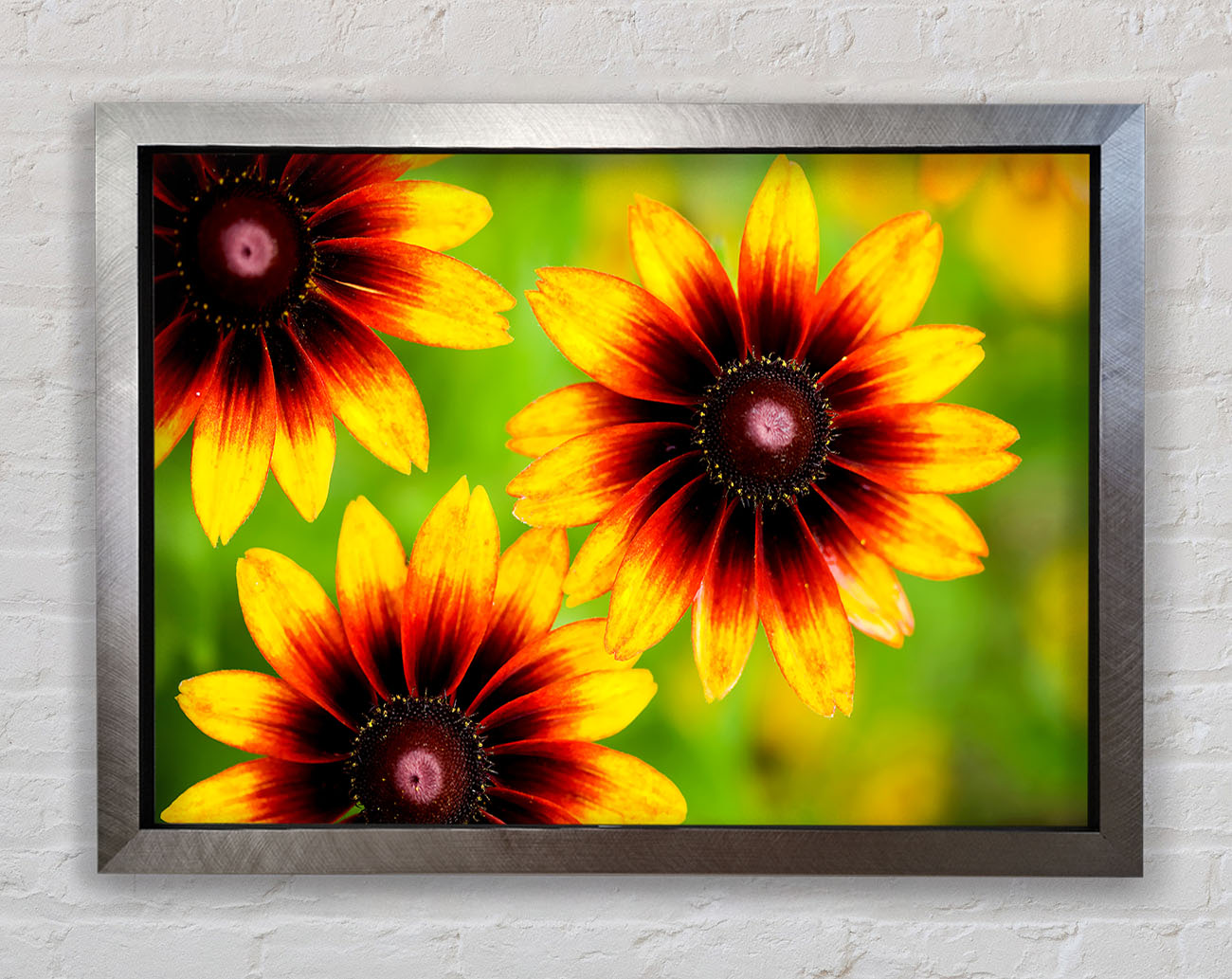 Sun Flower Garden Framed Print