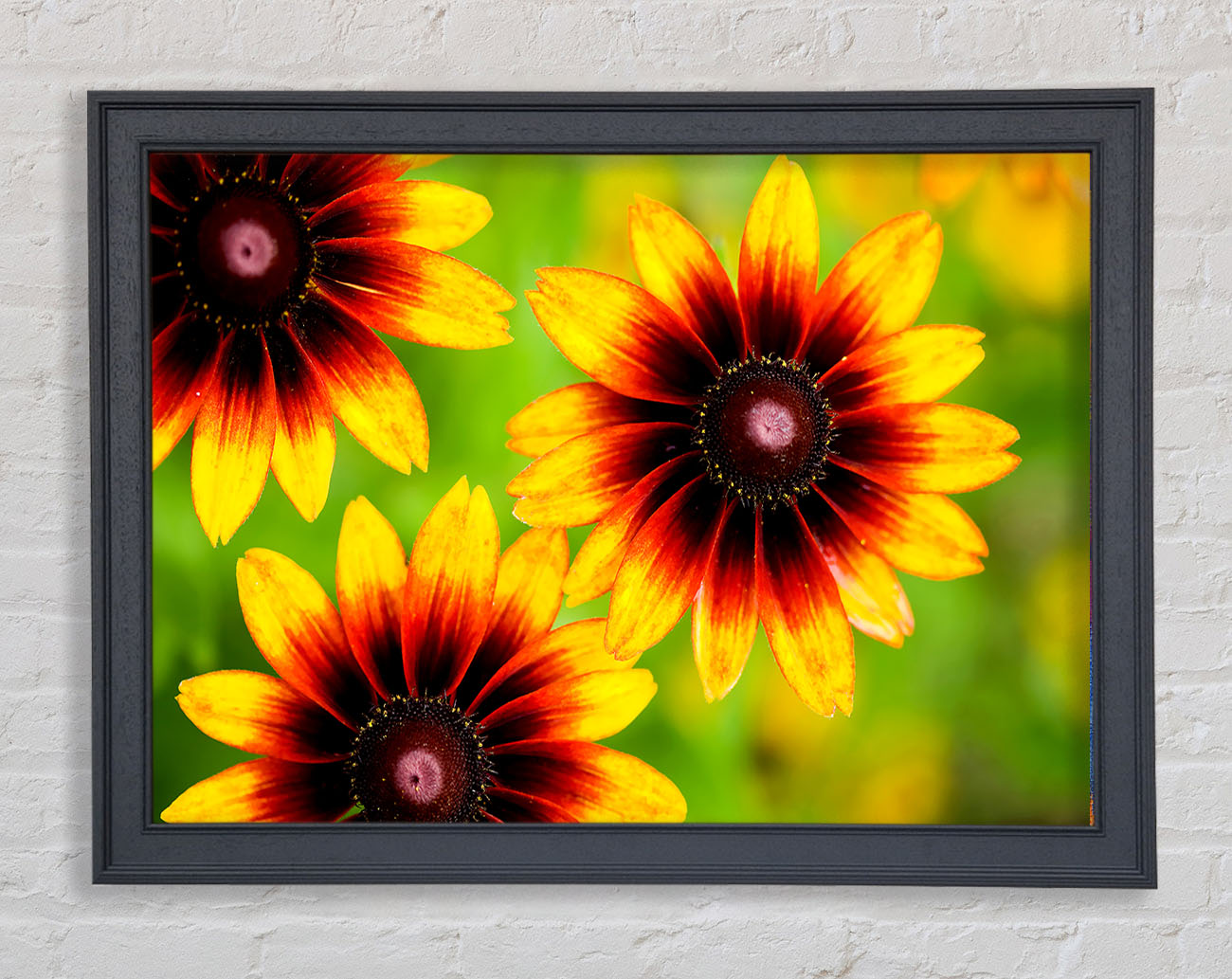 Sun Flower Garden Framed Print