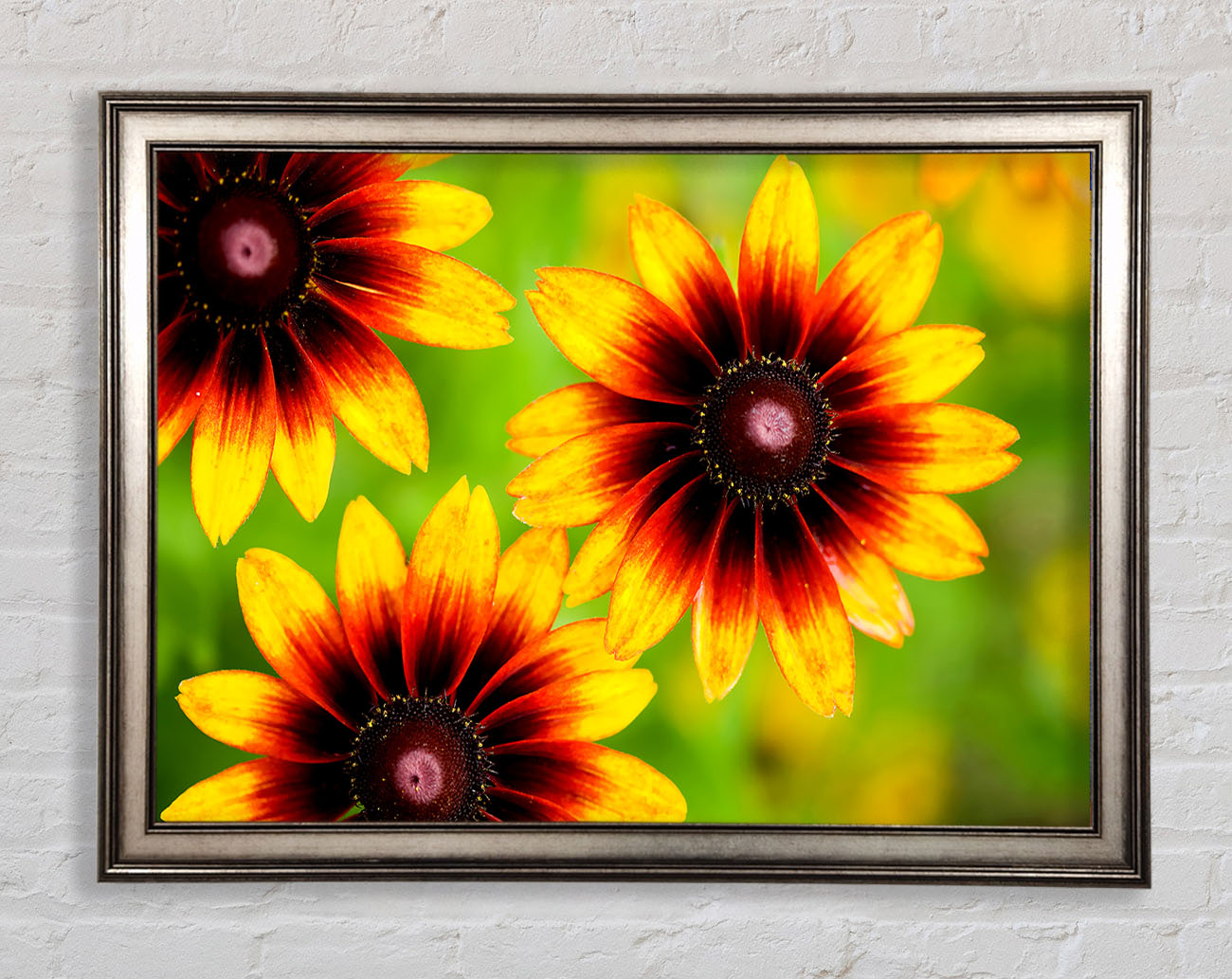 Sun Flower Garden Framed Print