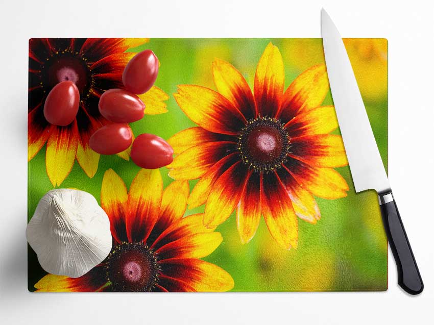 Sun Flower Garden