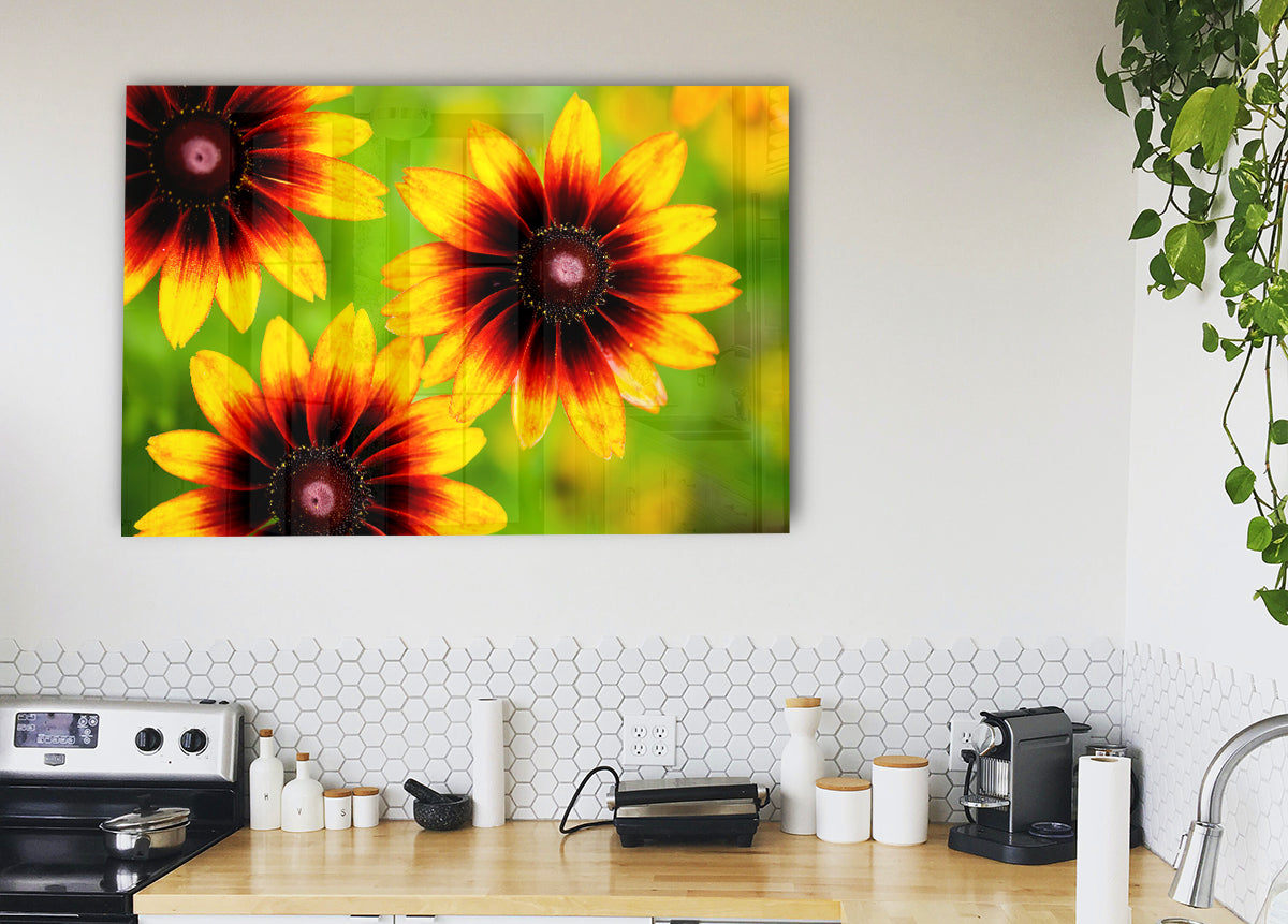 Sun Flower Garden
