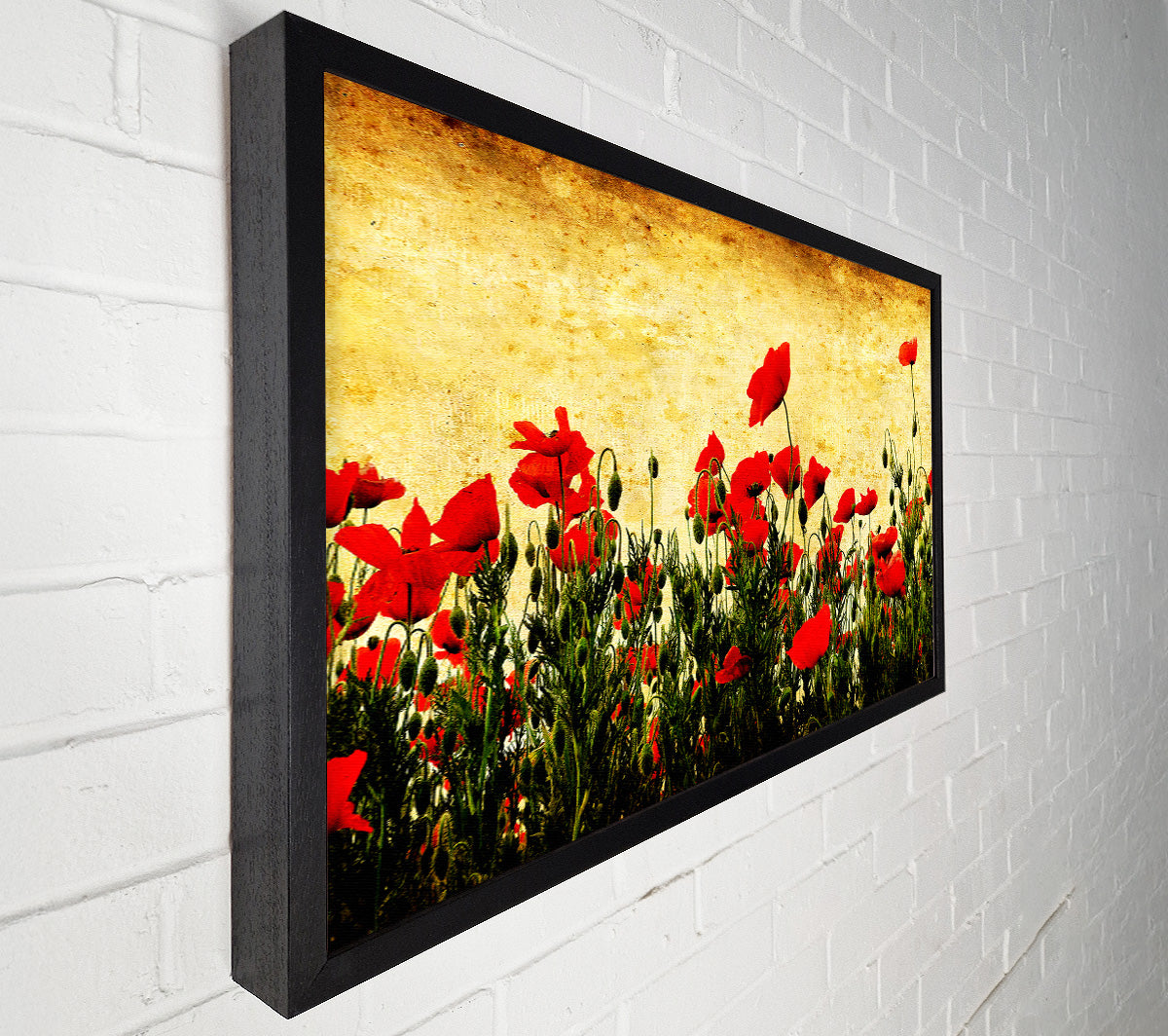 Poppy Field Golden Skys Canvas Wall Art