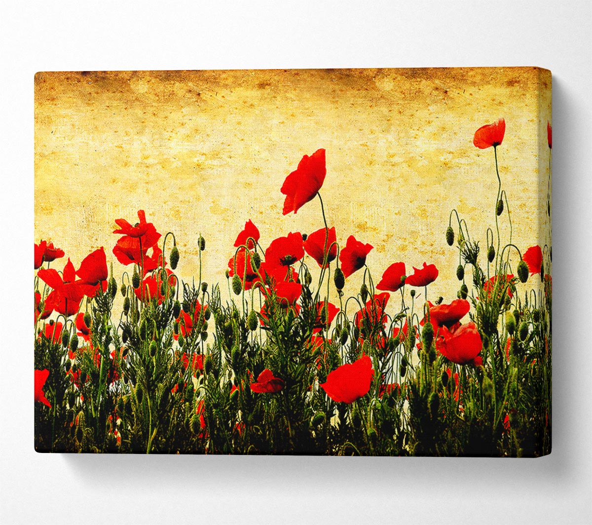 Poppy Field Golden Skys Canvas Wall Art