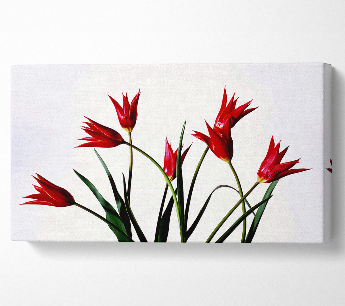 Red Fire Tulip Bouquet Canvas Wall Art