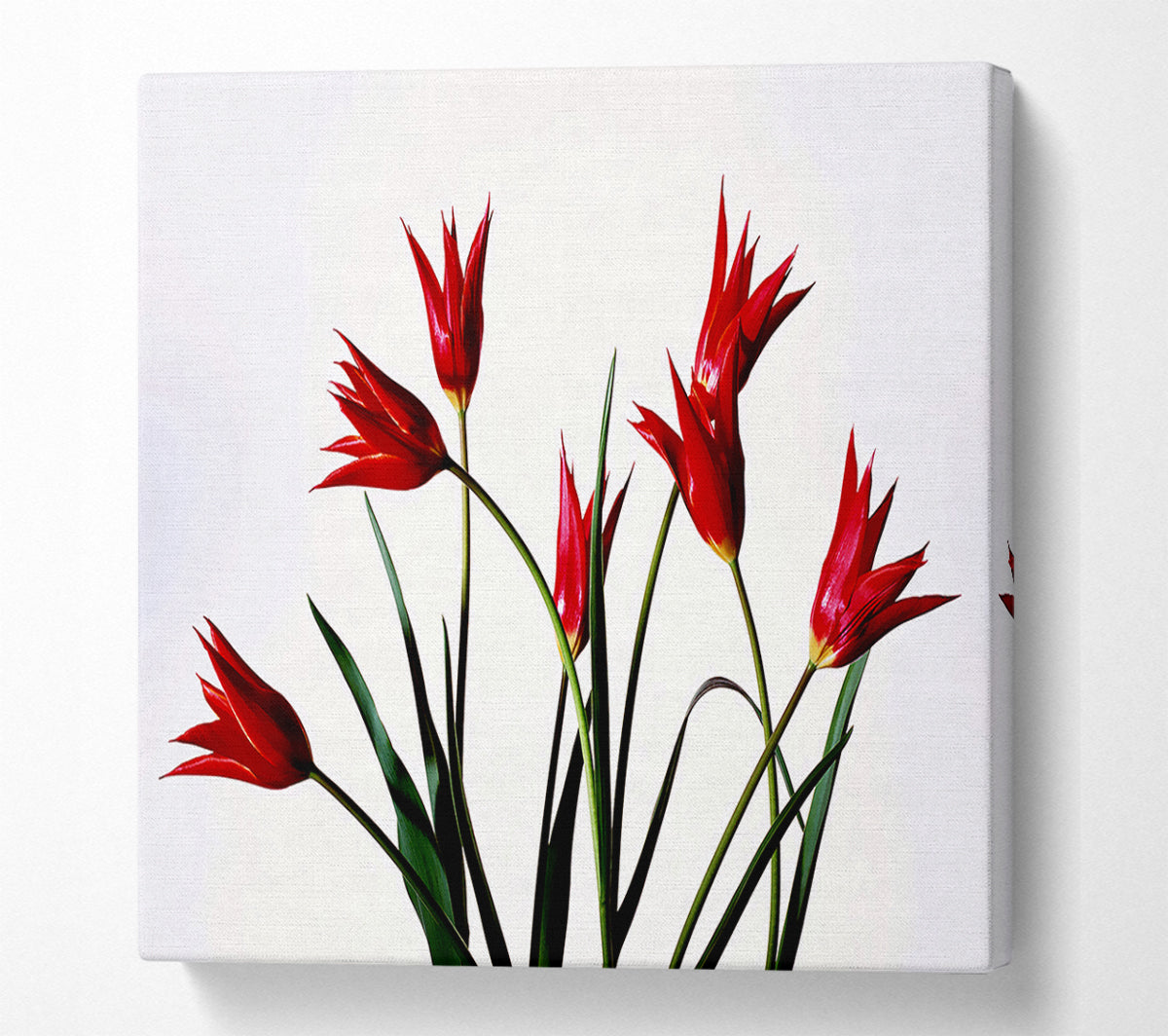 Red Fire Tulip Bouquet Canvas Wall Art