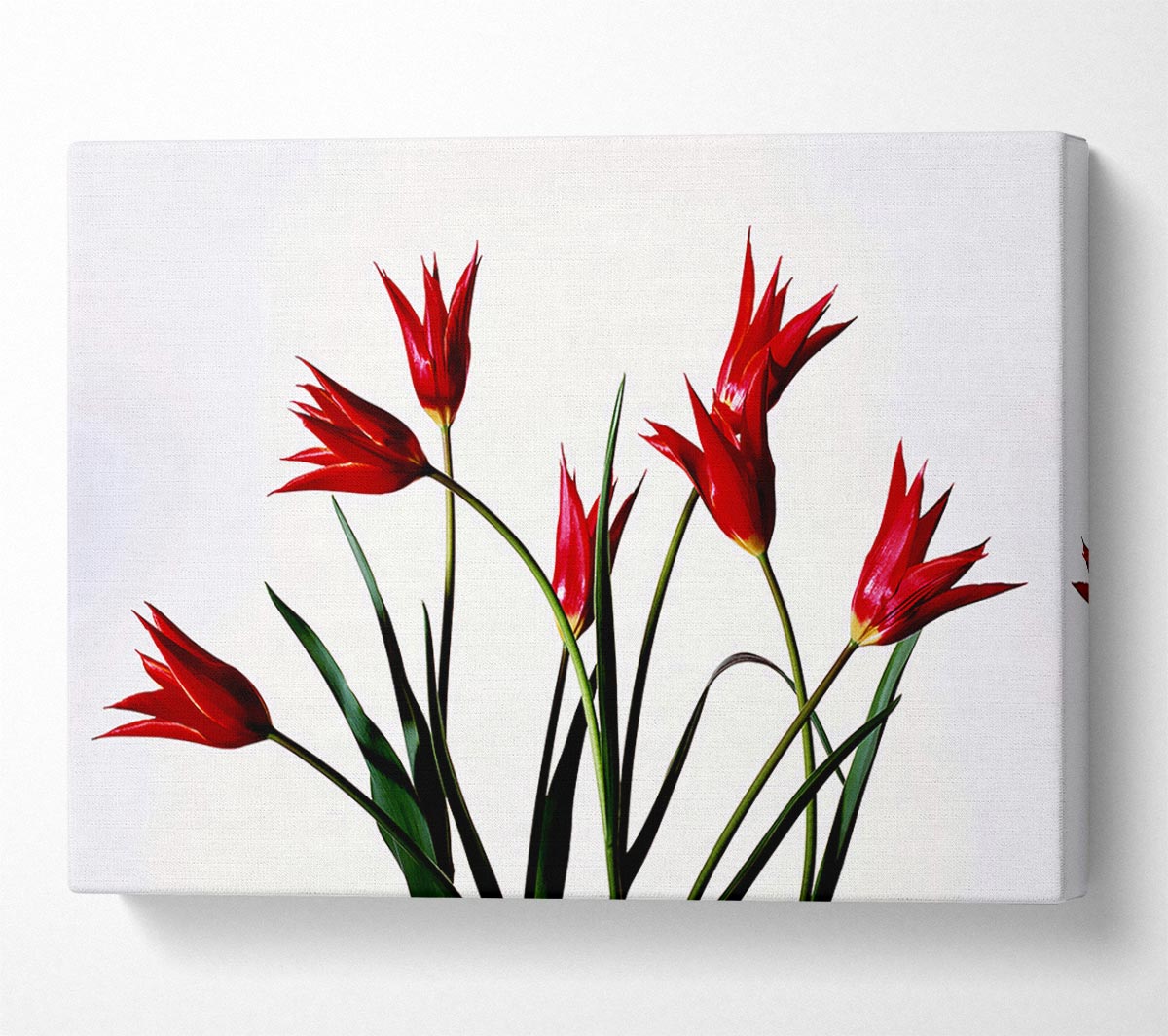 Red Fire Tulip Bouquet Canvas Wall Art