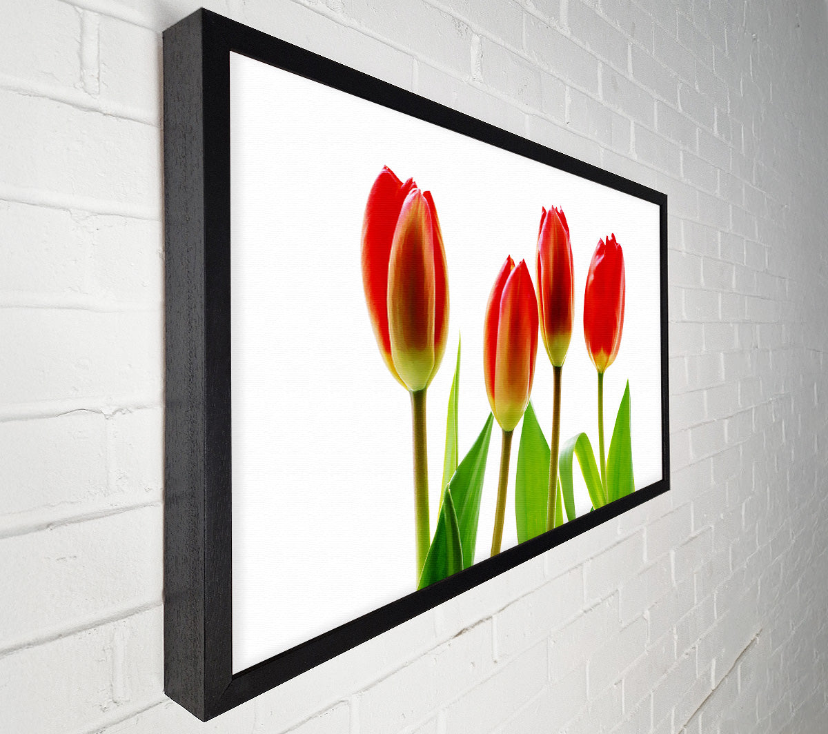 Red Tulip Quads Canvas Wall Art