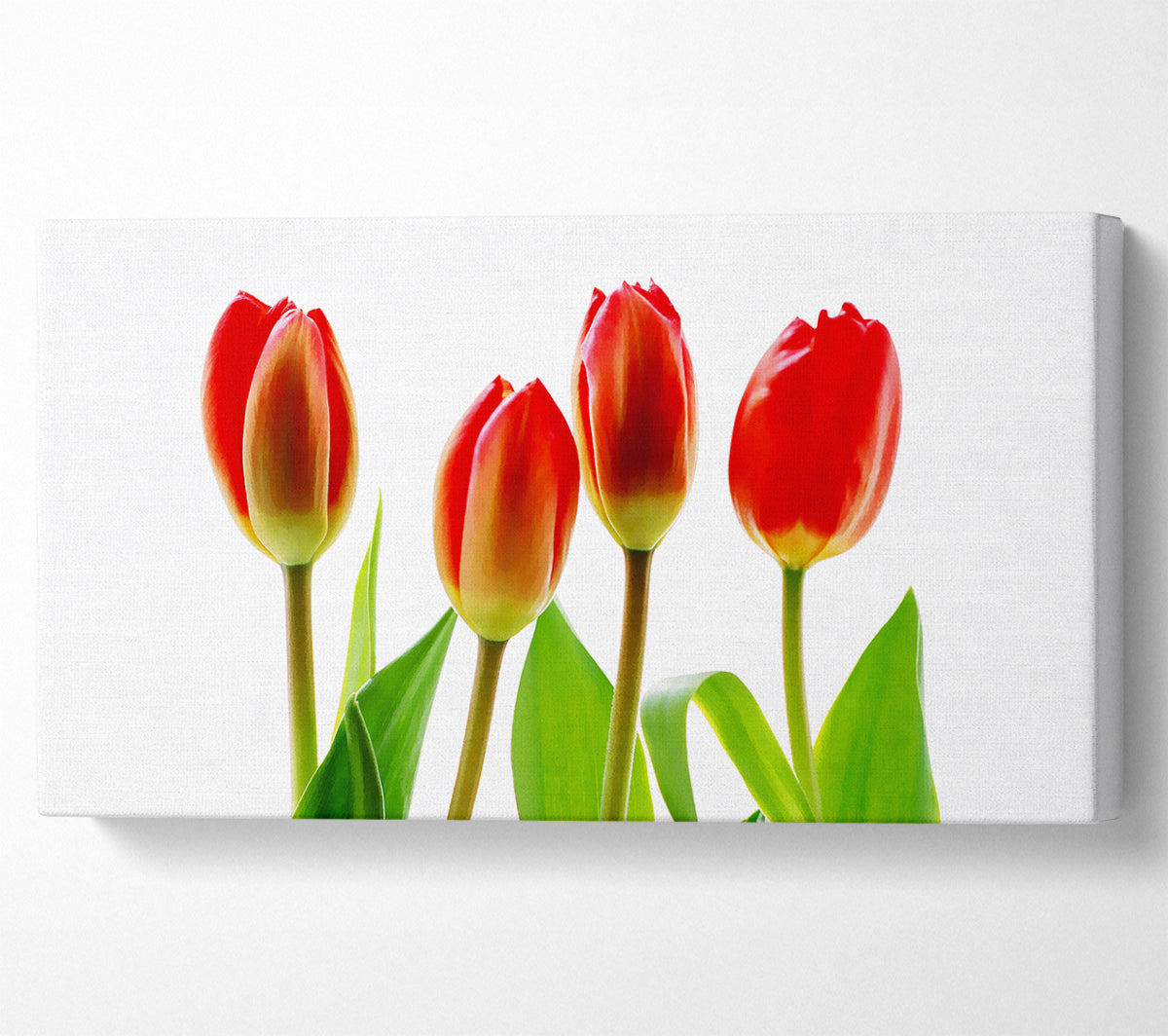 Red Tulip Quads Canvas Wall Art
