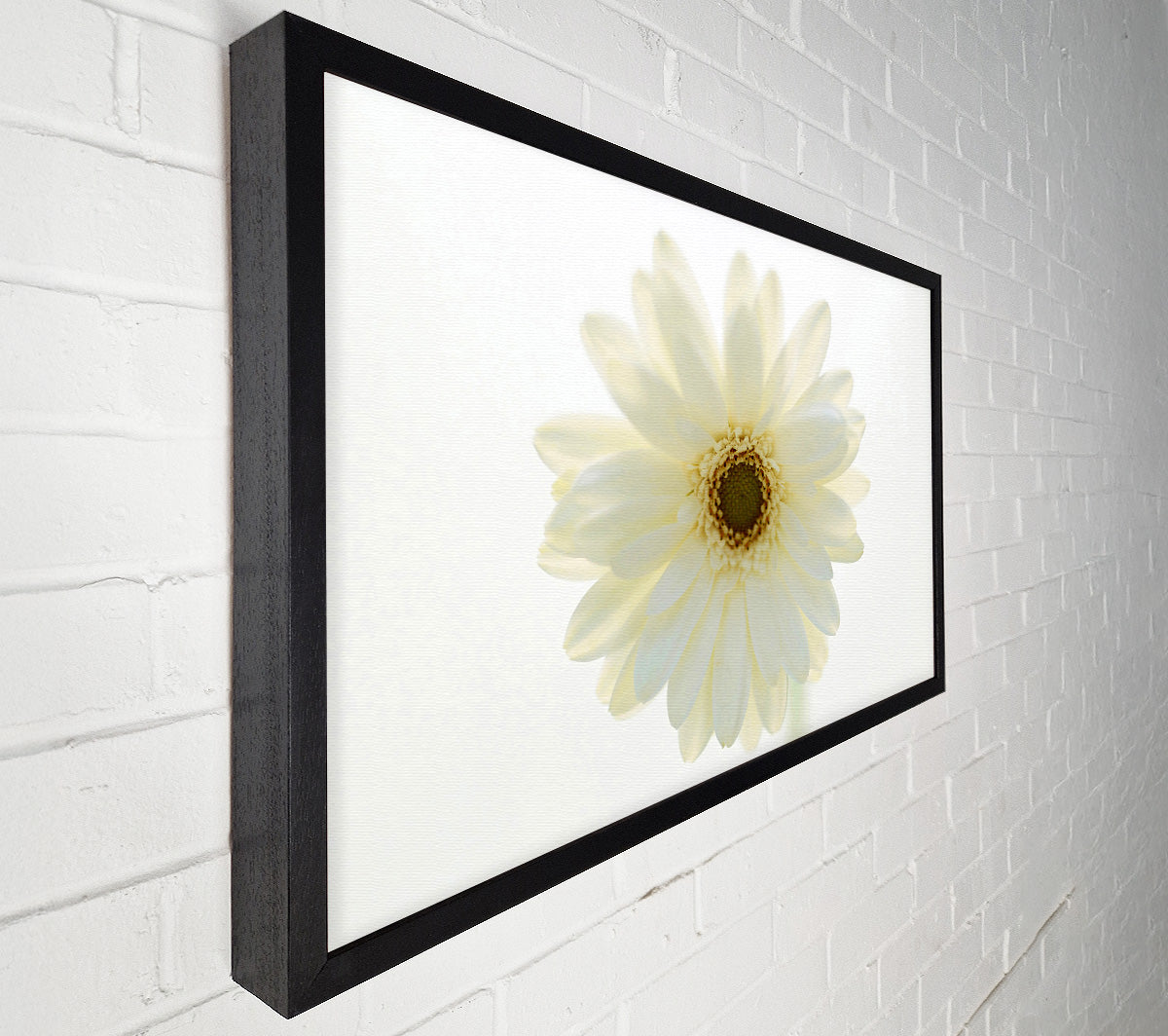 White On White Daisy Face Canvas Wall Art