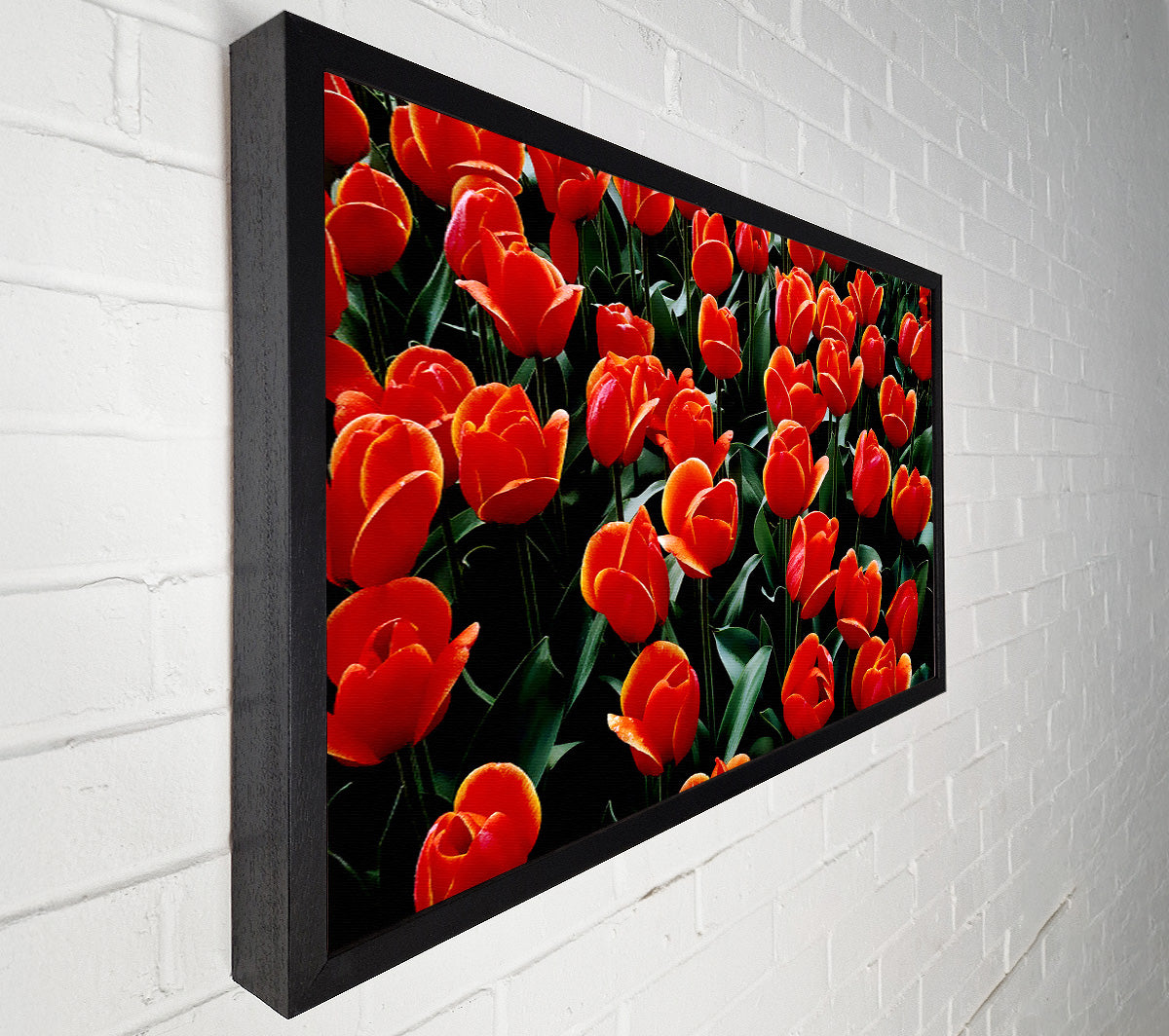 A Garden Of Red Tulips Canvas Art