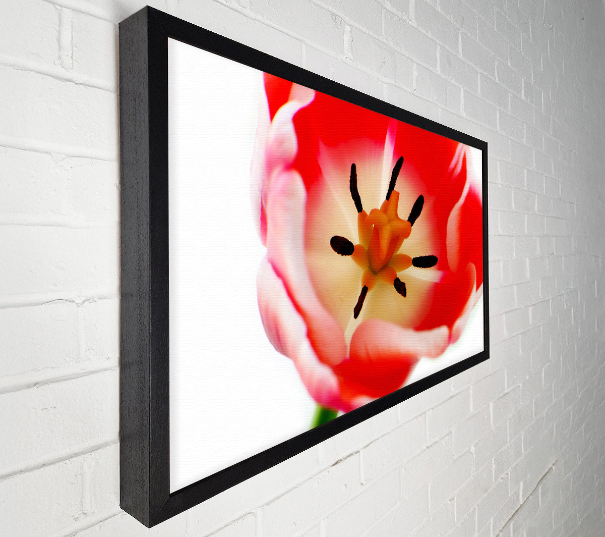 The Core Of A Tulip Canvas Wall Art