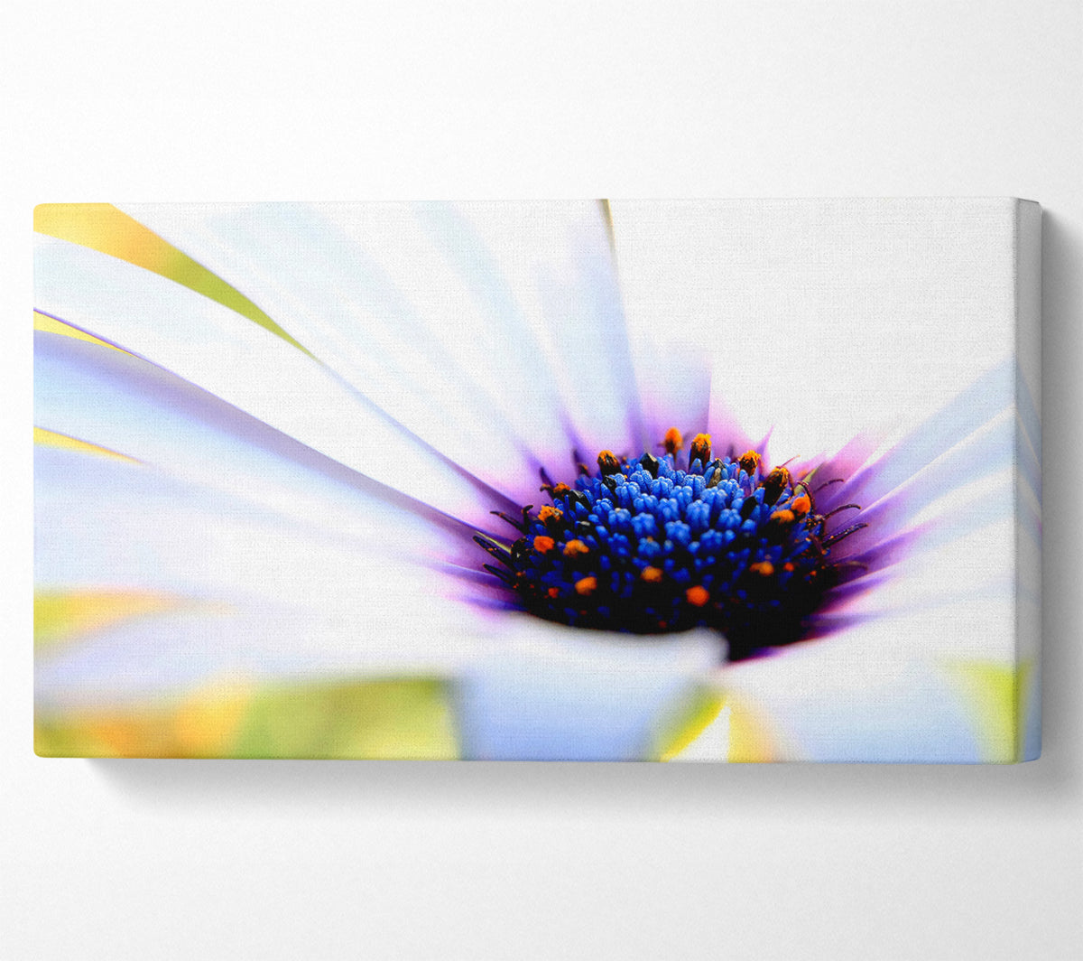 Purple Daisy Centre Canvas Wall Art