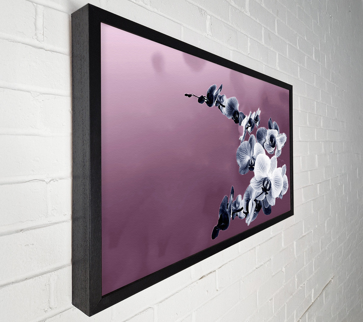 Snap Dragon Pink Canvas Art