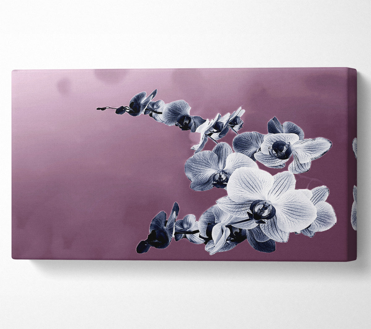 Snap Dragon Pink Canvas Art