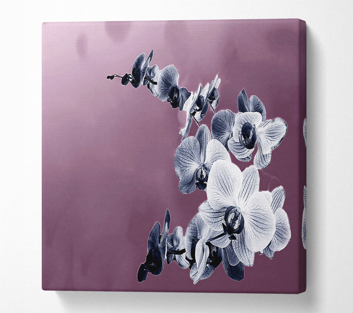Snap Dragon Pink Canvas Art