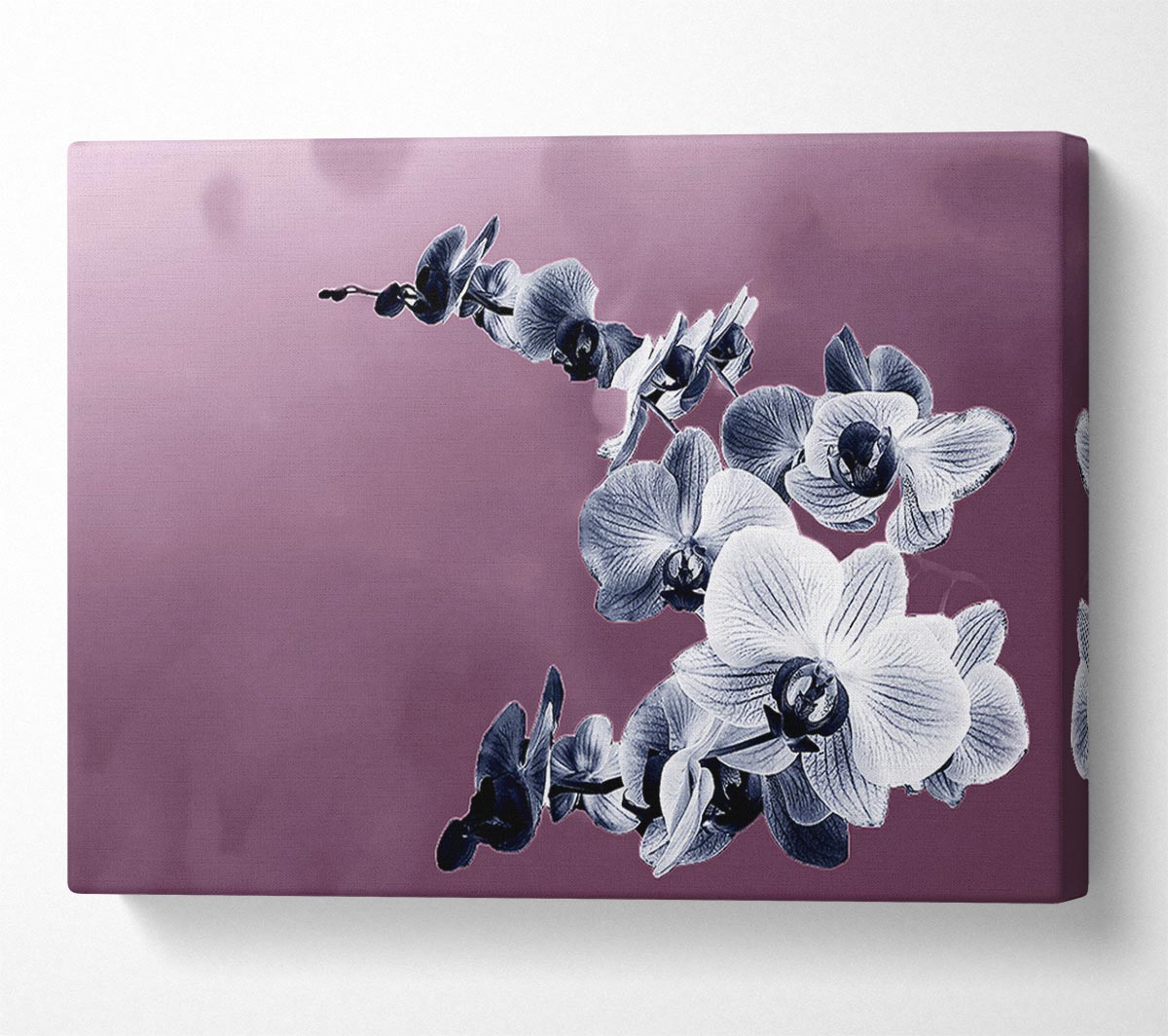 Snap Dragon Pink Canvas Art