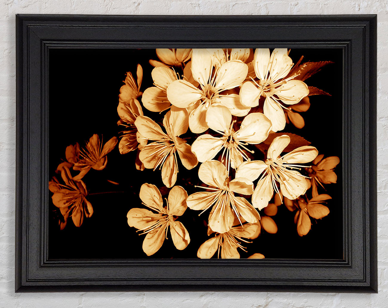 Cocoa Flowers Framed Print
