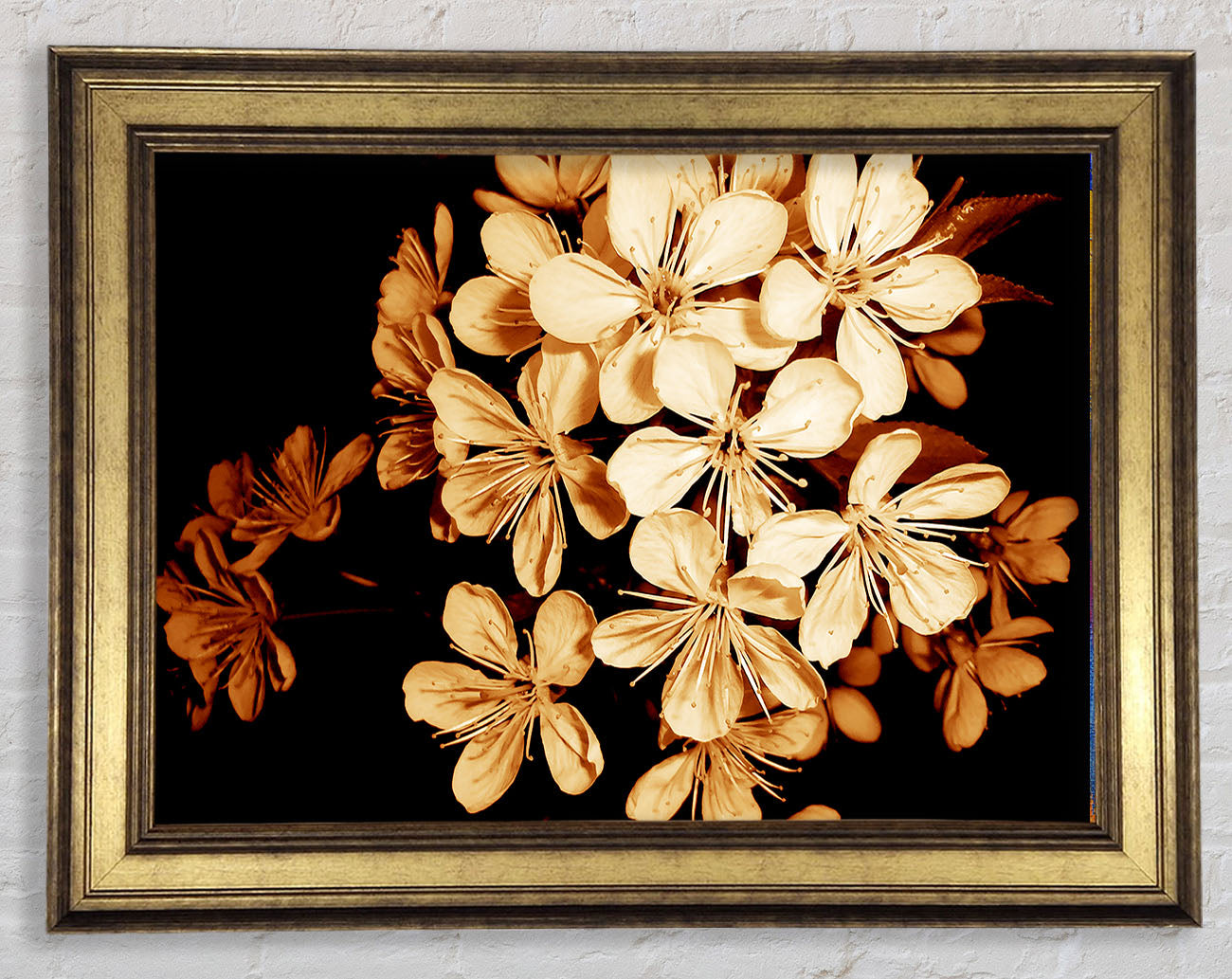 Cocoa Flowers Framed Print