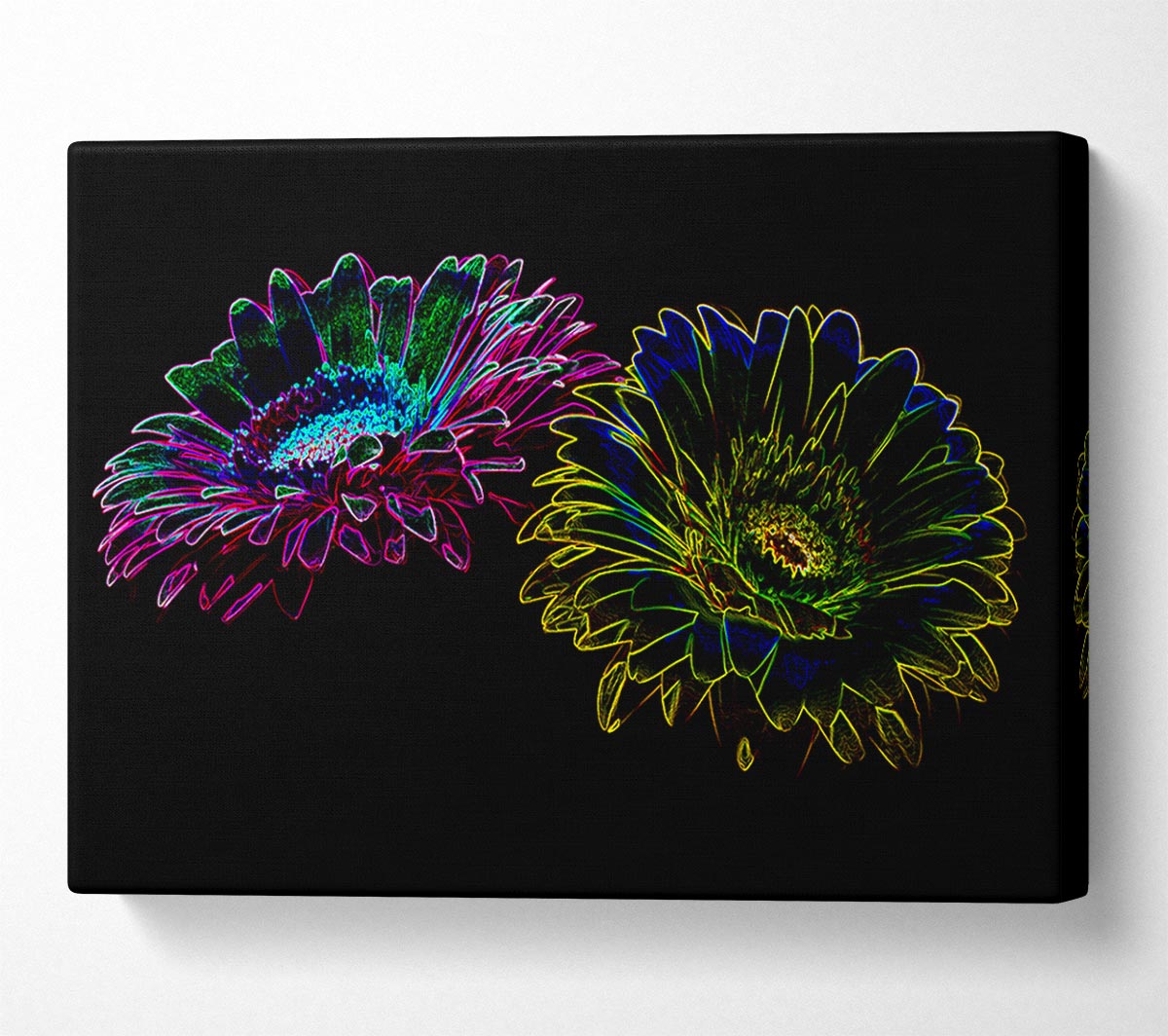 Abstarct Neon Floral 12 Canvas Art