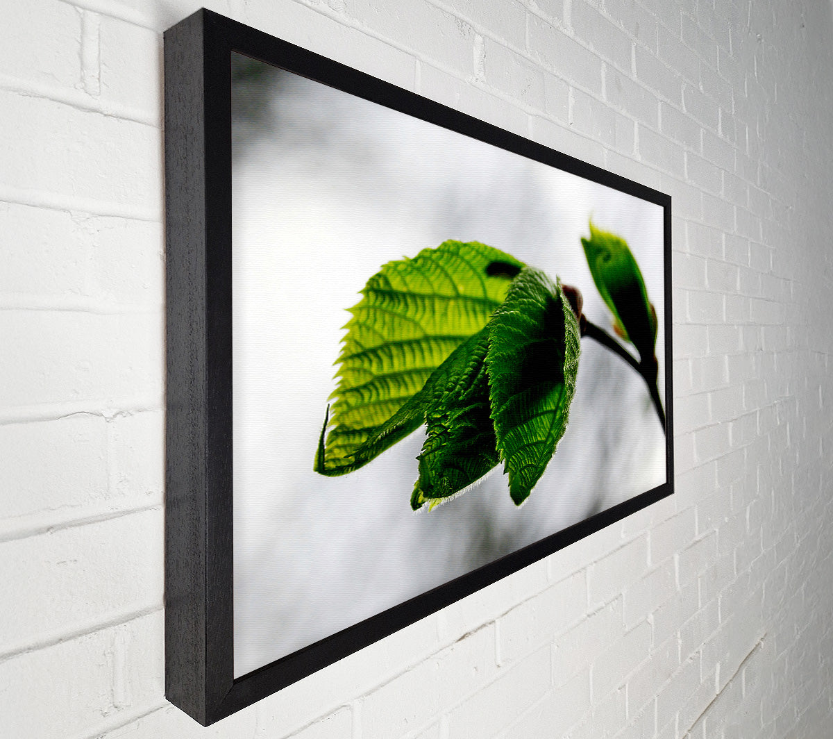 The Winter Leaves Canvas Wall Art