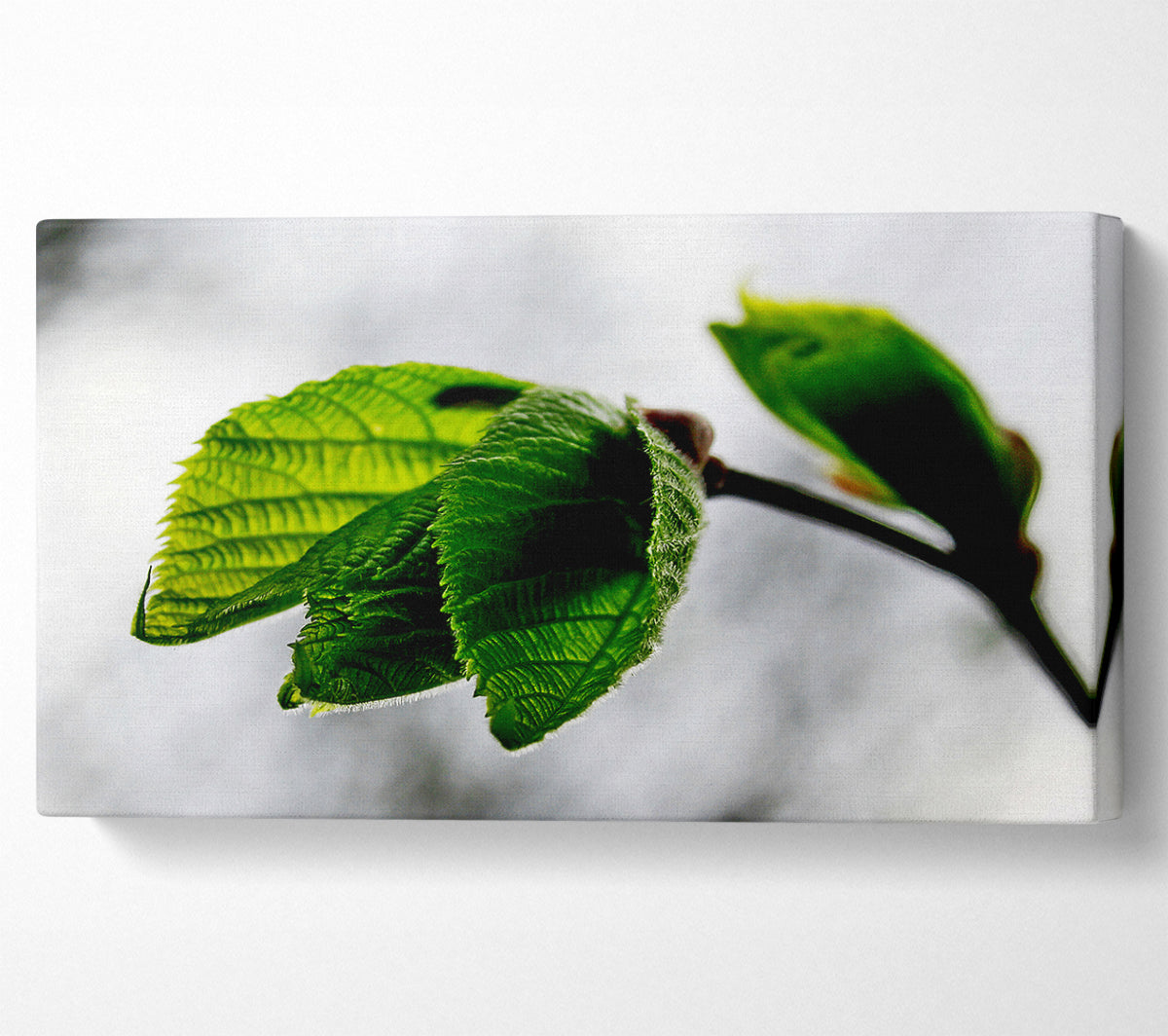 The Winter Leaves Canvas Wall Art